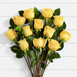 One Dozen Yellow Roses Bouquet - No Vase