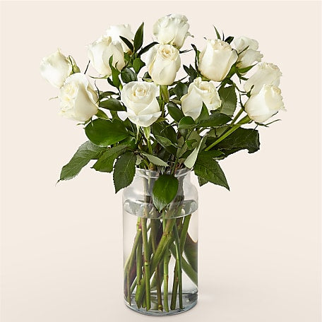 12 Stem Moonlight White Rose Bouquet With Ginger Vase