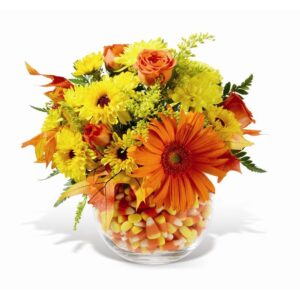 Teleflora Sweet Autumn Flower Arangement - As Shown