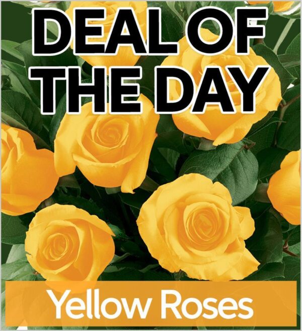 Teleflora Yellow Roses Flower Arangement