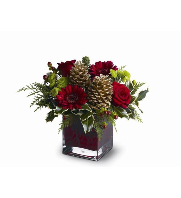 Teleflora's Cozy Christmas - As Shown